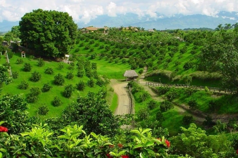 GMV