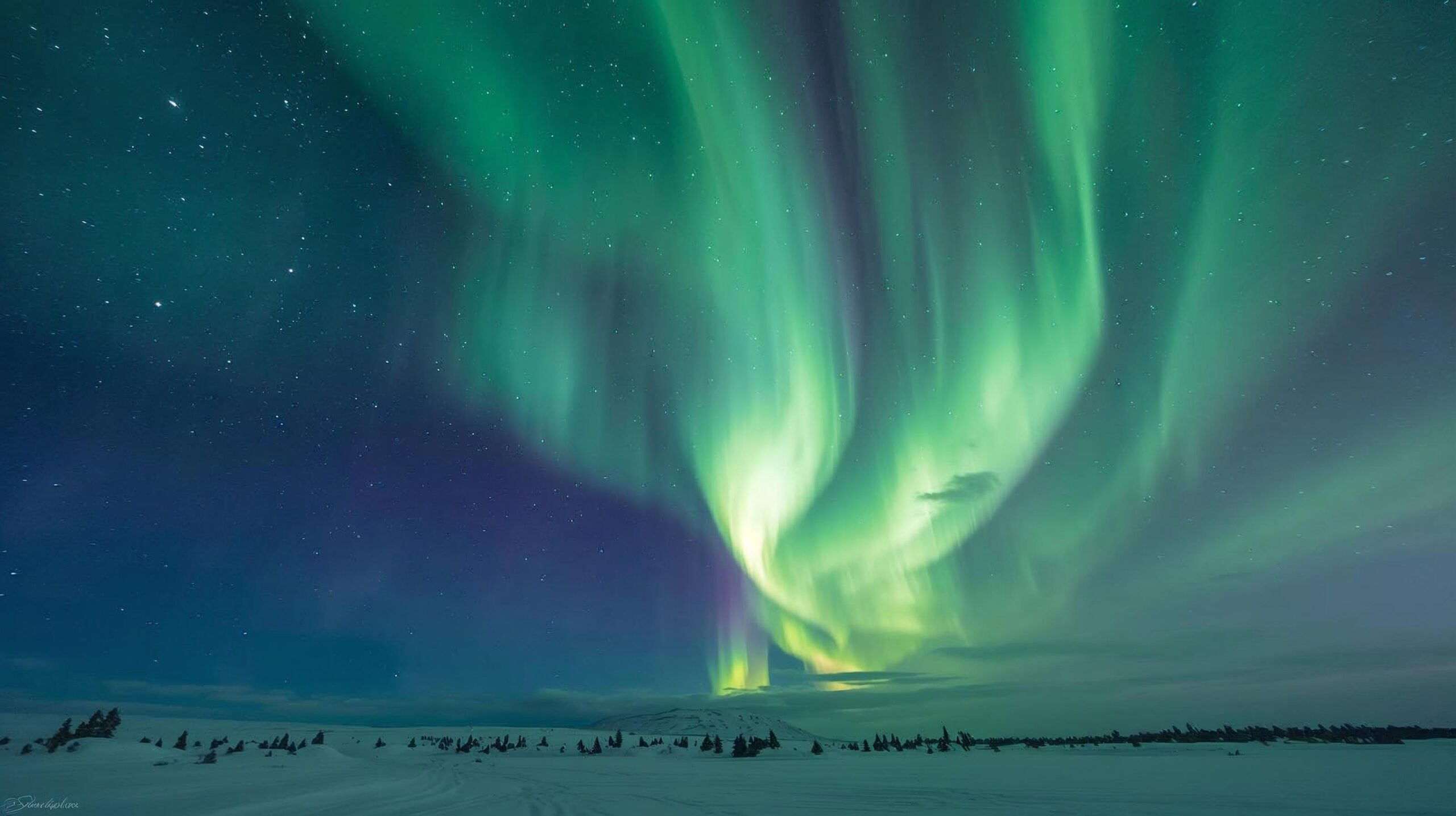 Círculo Polar Ártico: El Viaje Más Exclusivo al Corazón del Invierno